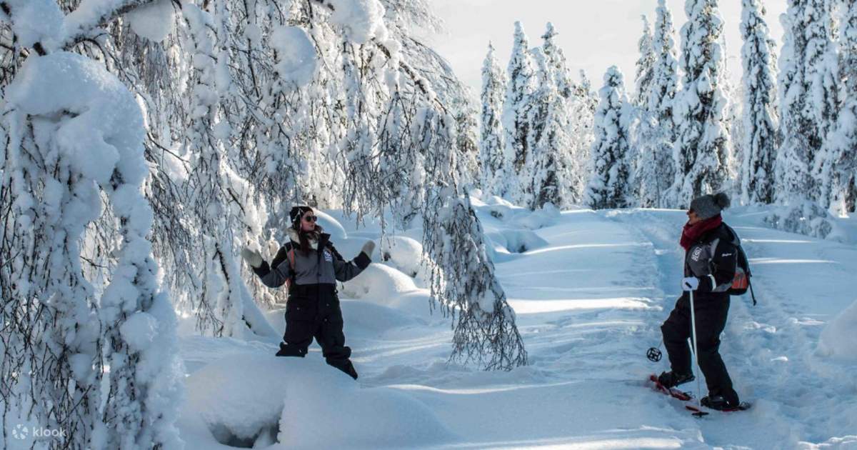 Rovaniemi Wilderness Snowshoe Adventure Klook United States